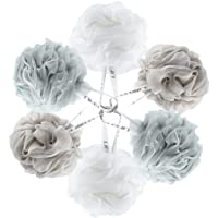 Lifeforce Grande Esponjas de Flor 6 Pack Mix- Esponja Exfoliante de Malla - Con Correa de Muñeca- Suave y Esponja…